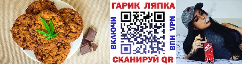Canna-Cookies марихуана  купить закладку  Закаменск 