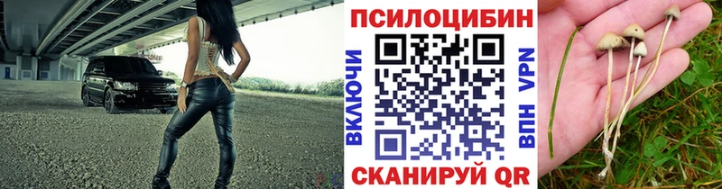 Галлюциногенные грибы Cubensis Закаменск