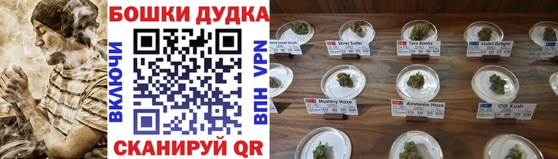 Канабис планчик  купить закладку  Закаменск 